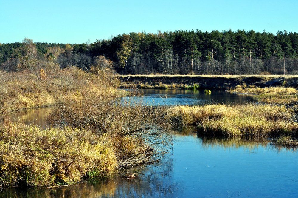 Осень на реке Тьме