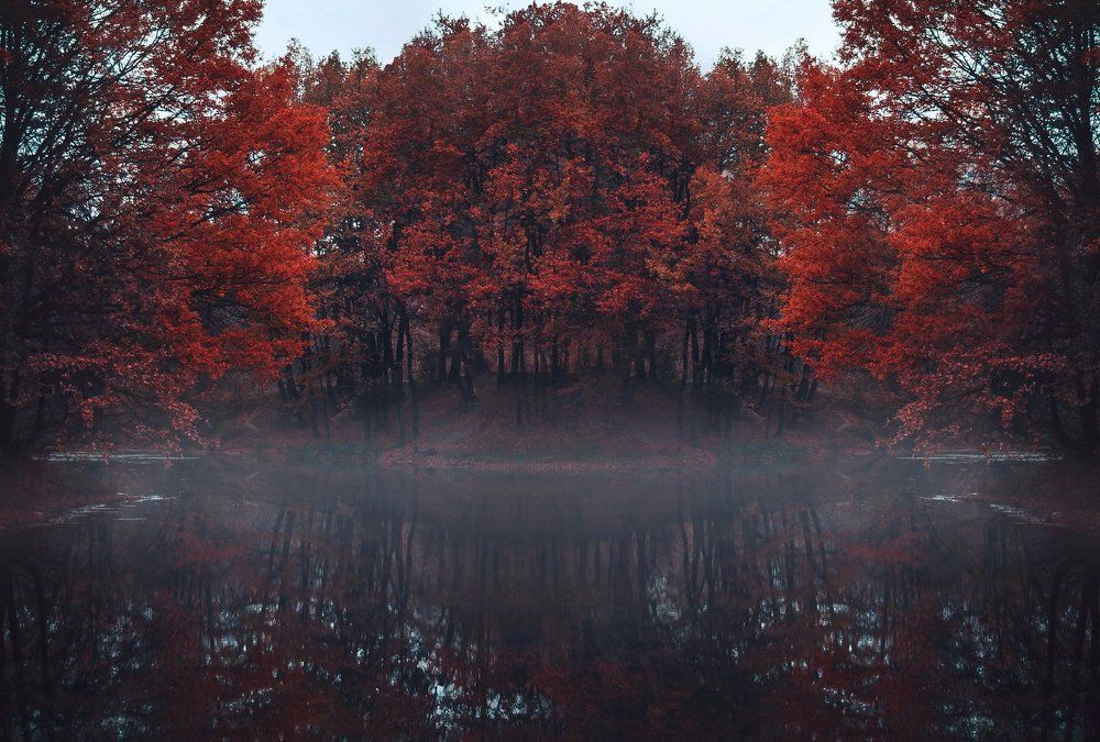 Осенний пруд