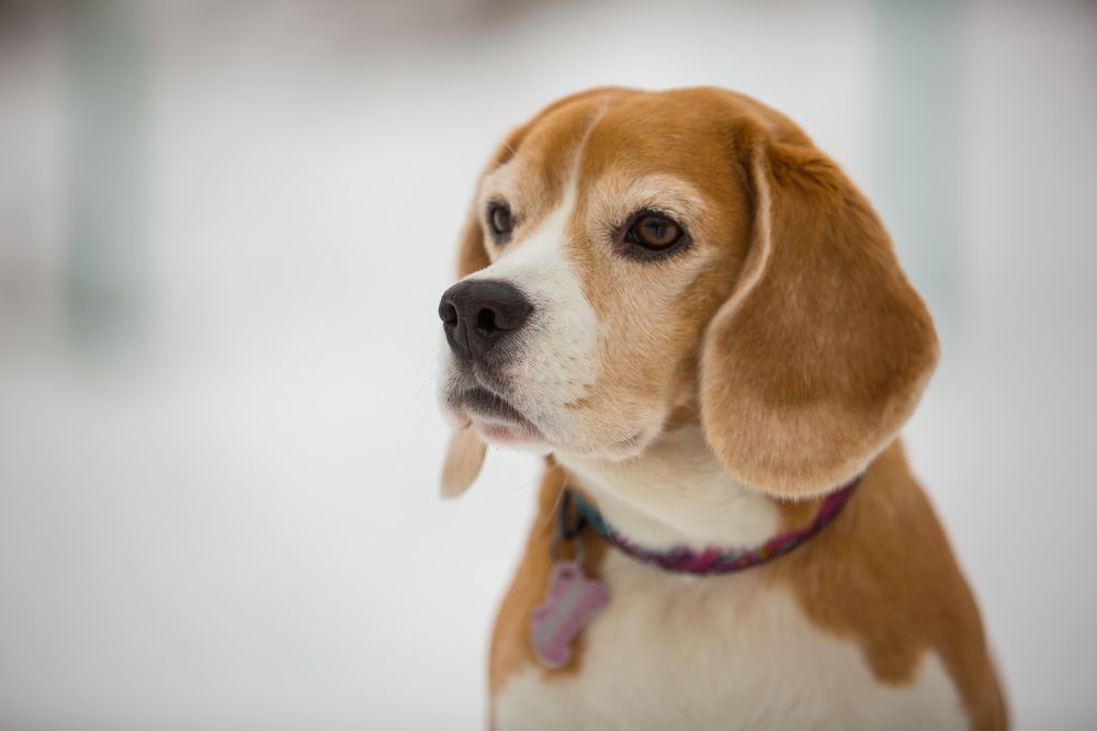 Фотография автора Мария