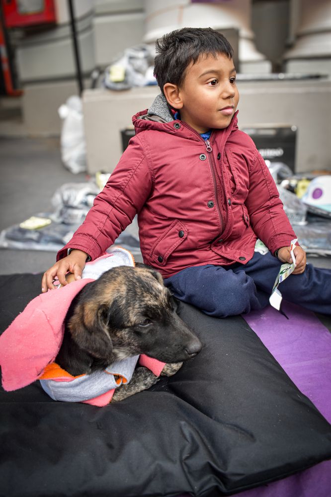 Photograph by Ivan Schaievitch