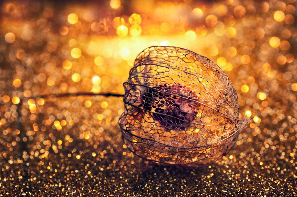 Photograph by Тараненко Анжелика