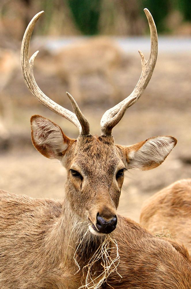 Photograph by Александр Каплан