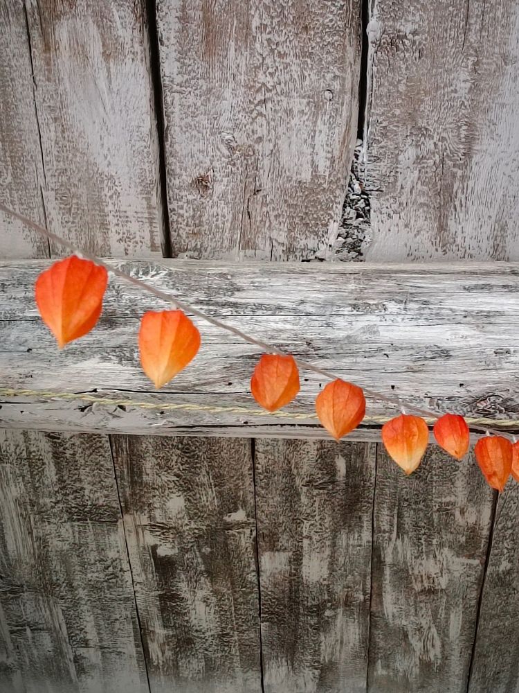 Photograph by Людмила Худякова