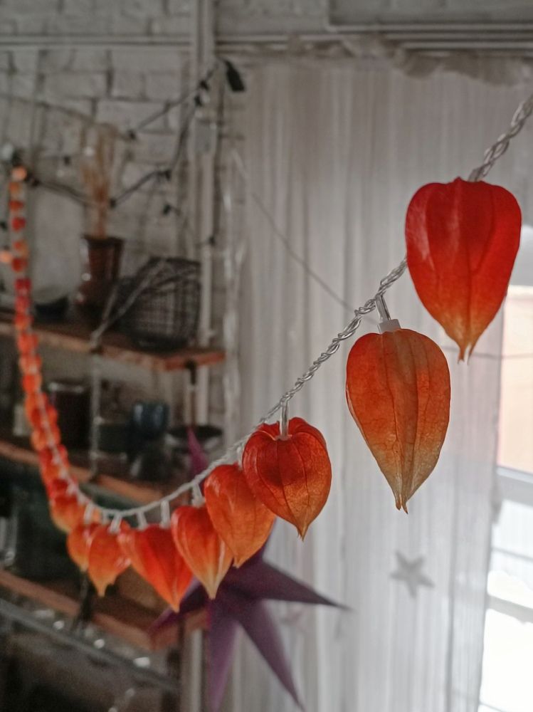 Photograph by Людмила Худякова