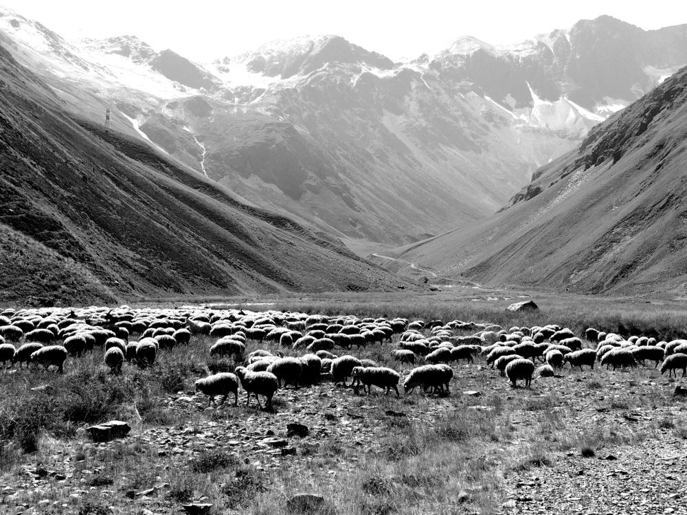 Photograph by Тимур Хохоев