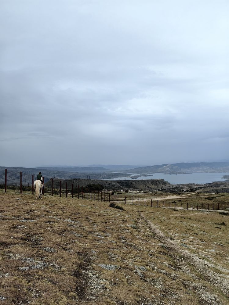 Photograph by Светлана Зыкова