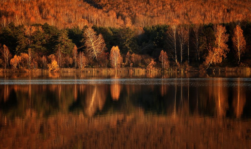 Photograph by Галина Хвостенко