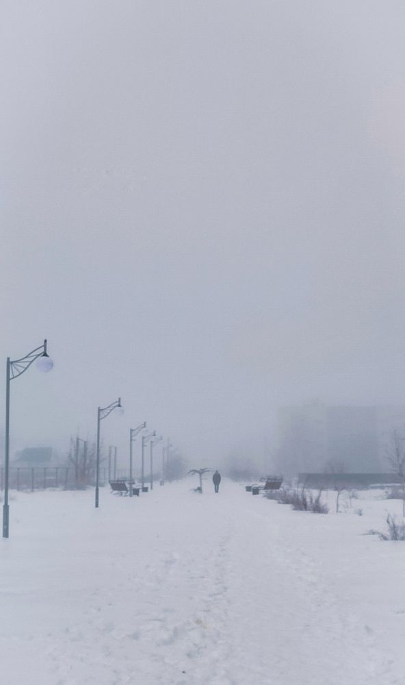 Фотография автора Анастасия Мамаева