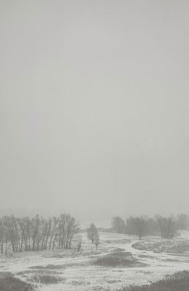 Фотография автора Анастасия Мамаева