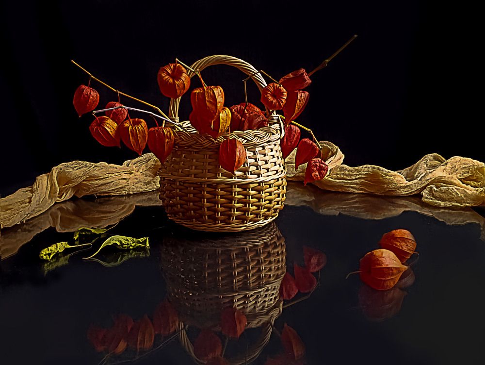 Photograph by Мария Самолевич