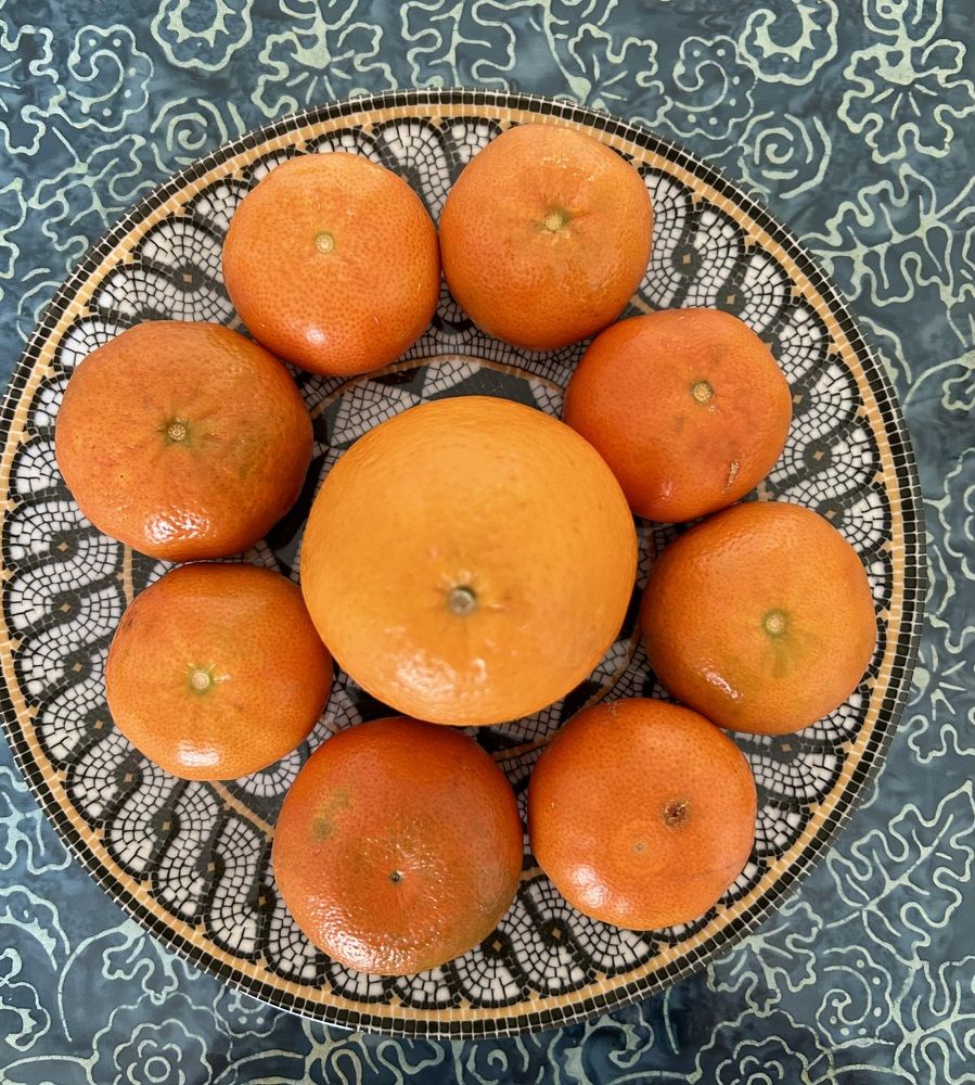 Photograph by Амирова Анар