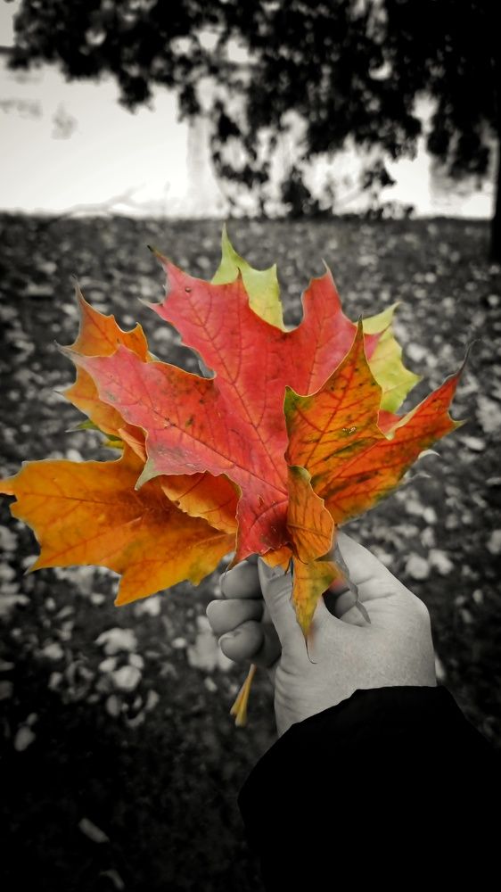 Photograph by Ольга Терскова