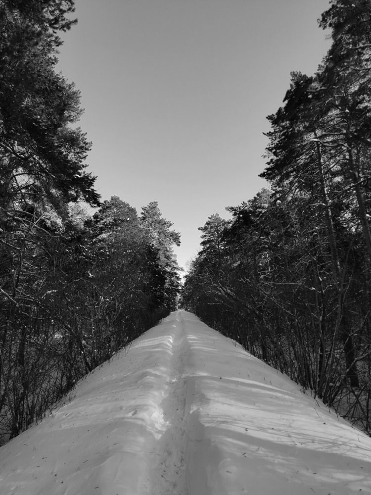 Фотография автора Светлана Алехина