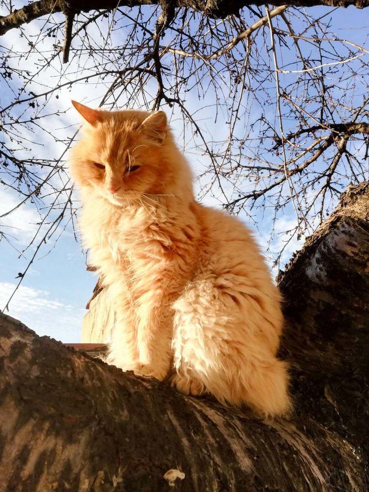 Photograph by Anna Gancheva