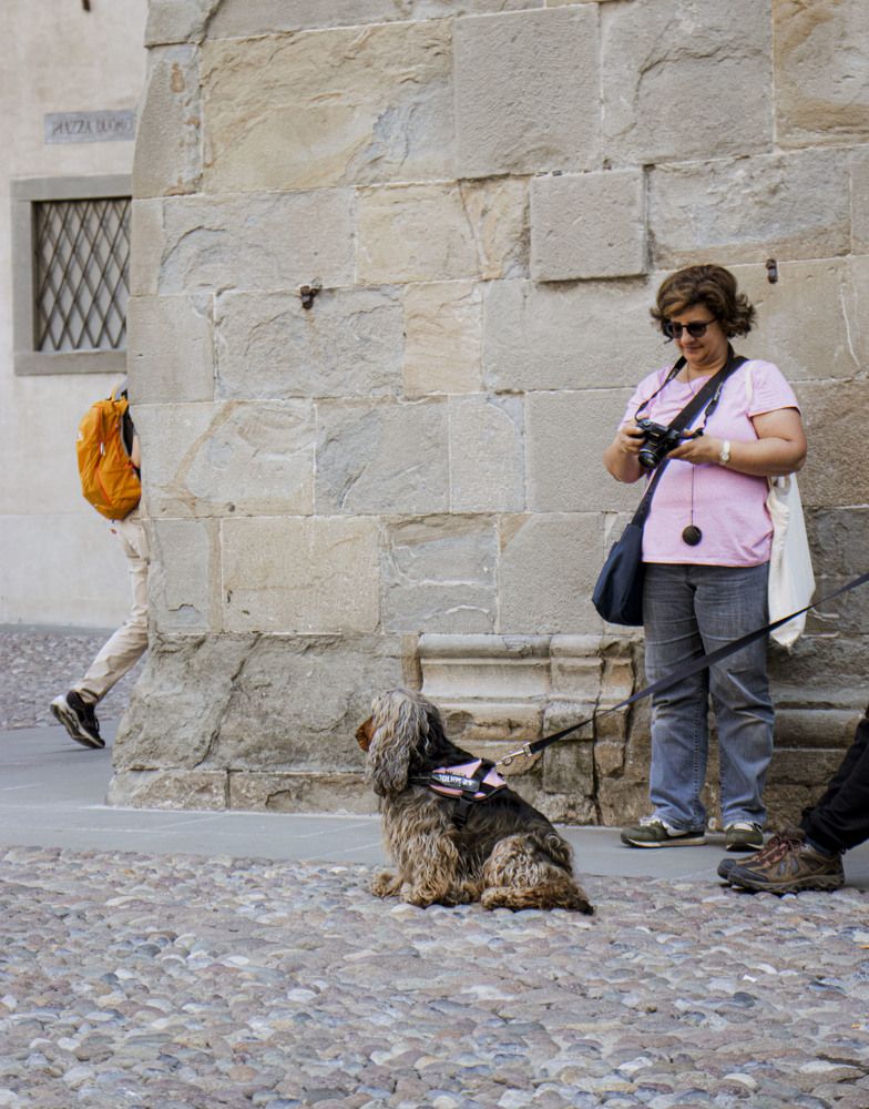 Photograph by Anna Gancheva