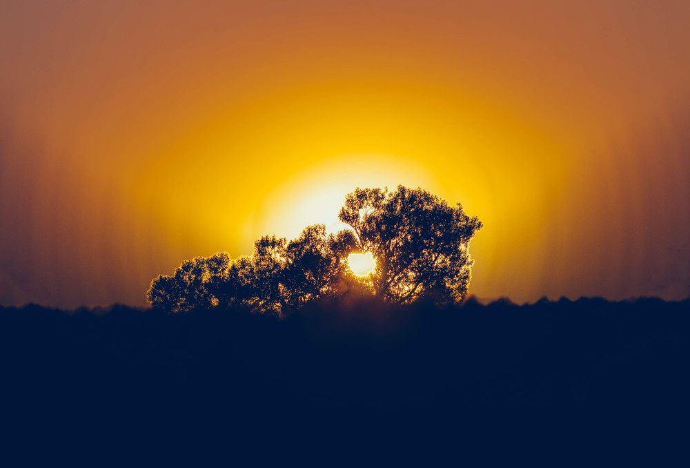 Фотография автора Алина Руденко