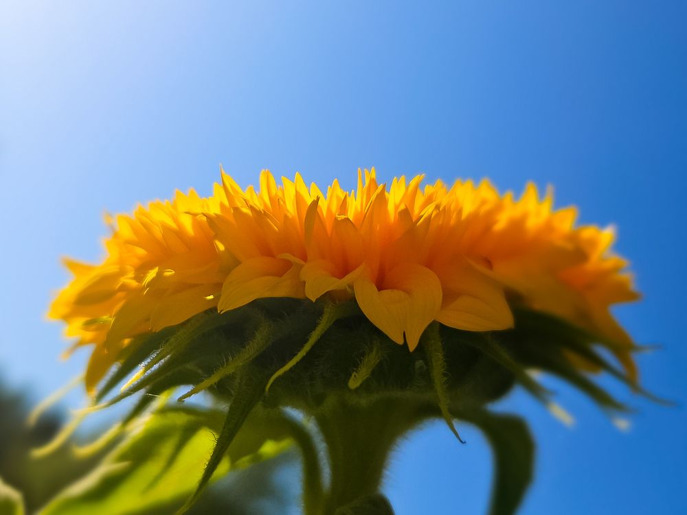 Photograph by Анастасия Алтабаева