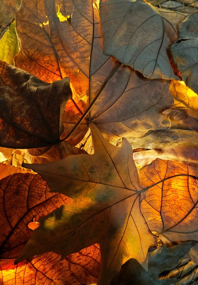 Photograph by Aleksandr