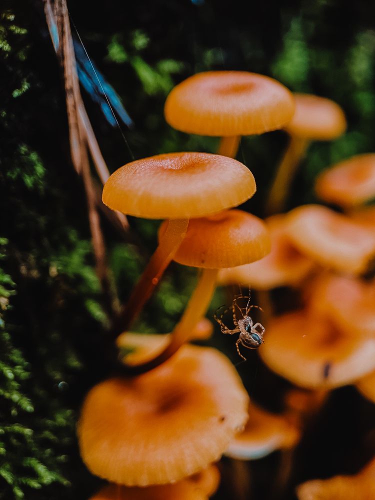 Photograph by Анна