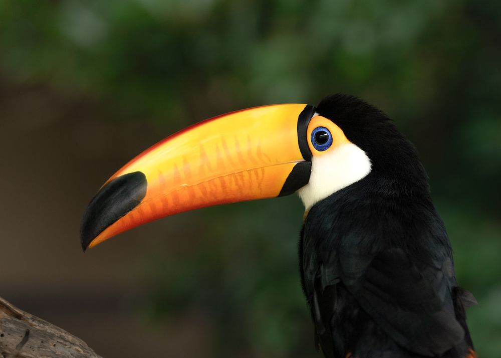 Фотография автора Валерия Капитонова