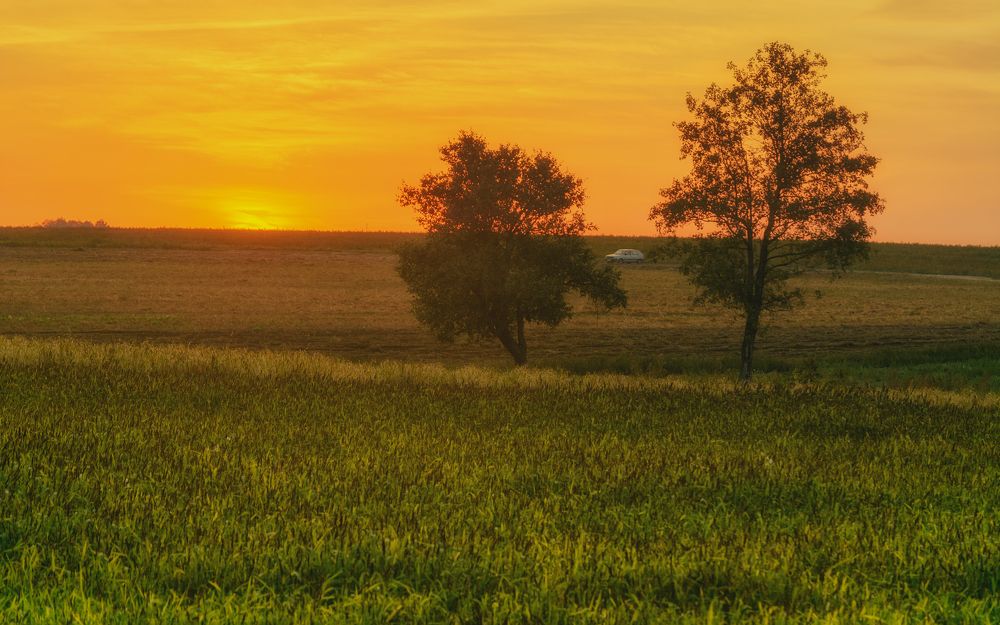 Photograph by Сергей Дишук