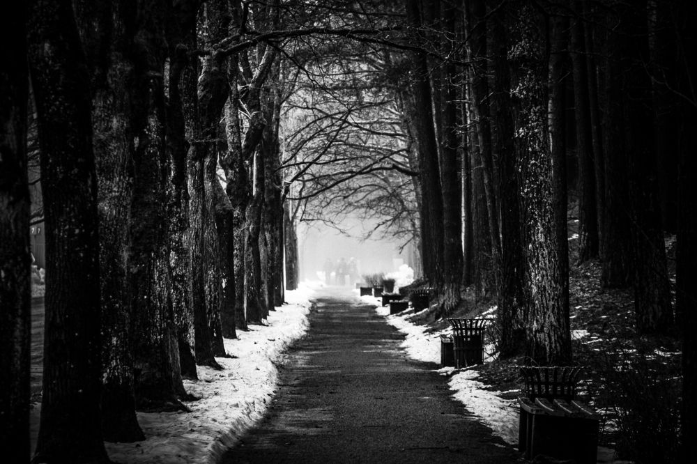 Photograph by Igors Rostikovs