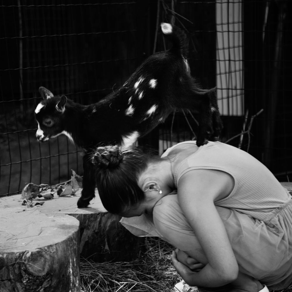 Photograph by Светлана Ионова