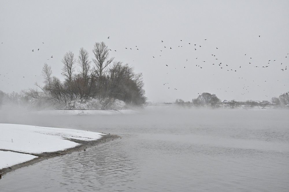 Фотография автора IRINA FILIPPOVA
