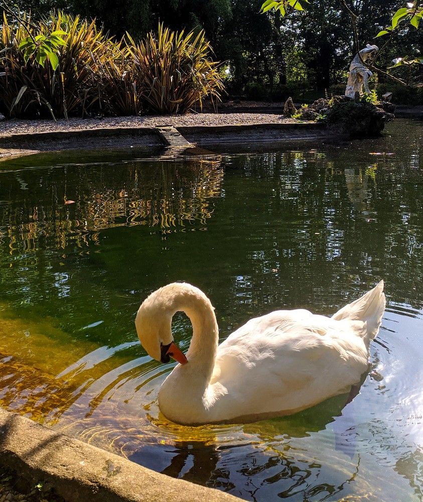 Photograph by Edgar Guillén