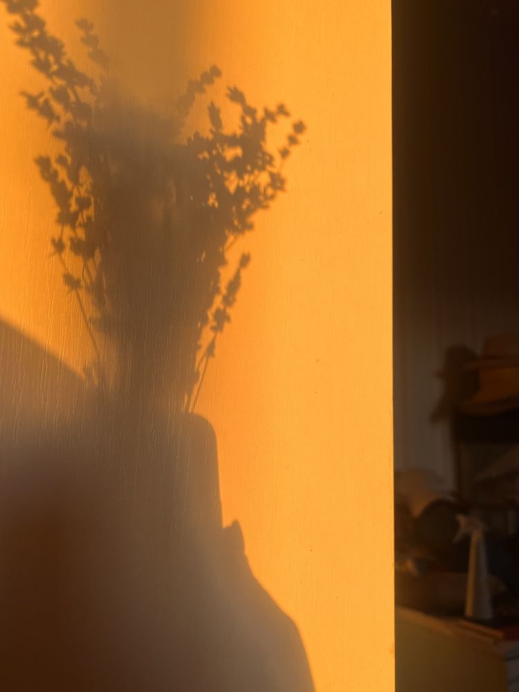 Photograph by Наталья Ермакова