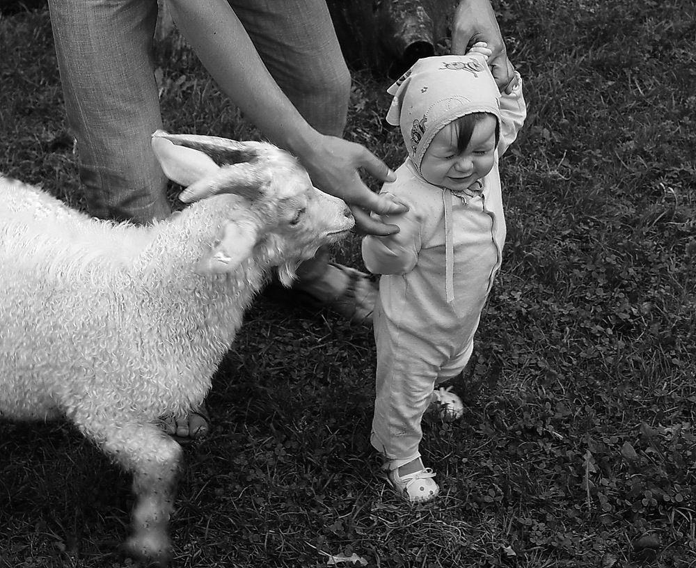 Знакомство.