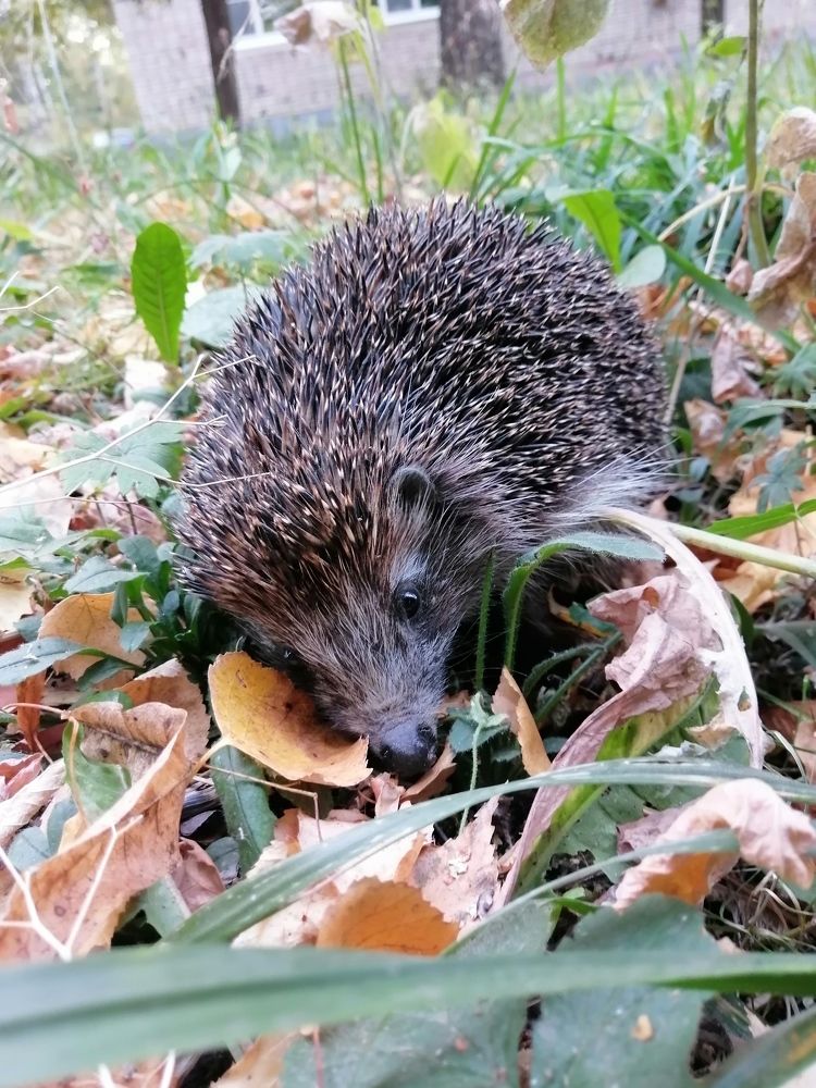 Photograph by Константин Ульянкин