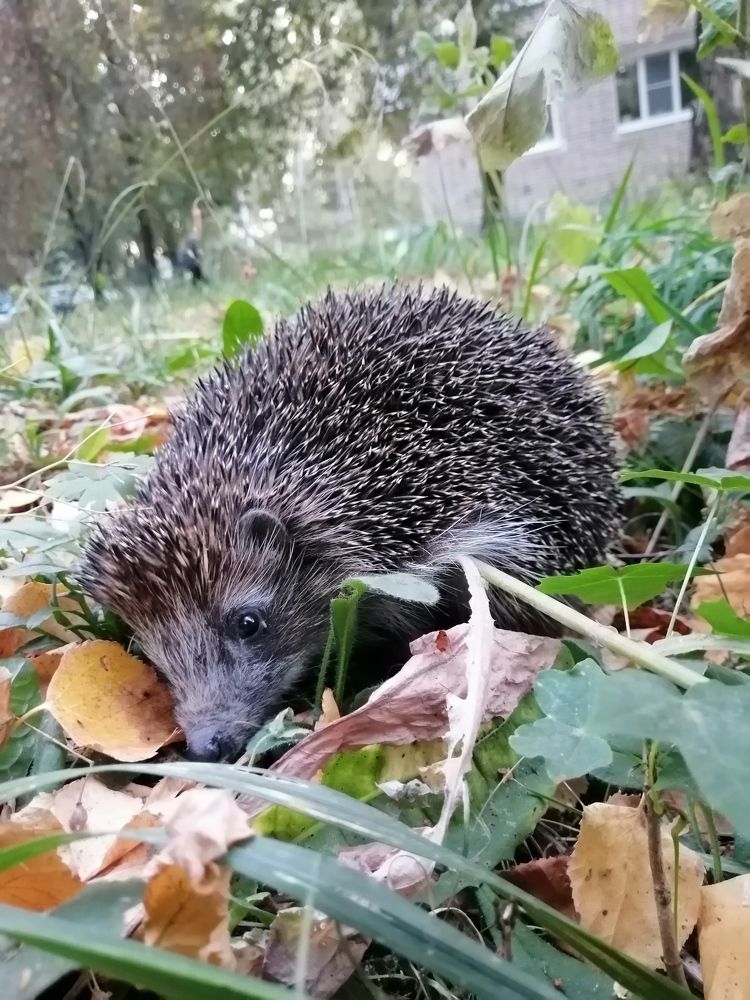 Photograph by Константин Ульянкин