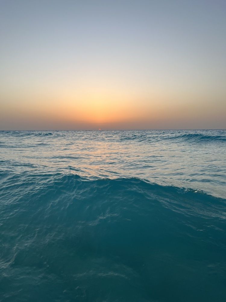Photograph by Yusuf Yamen
