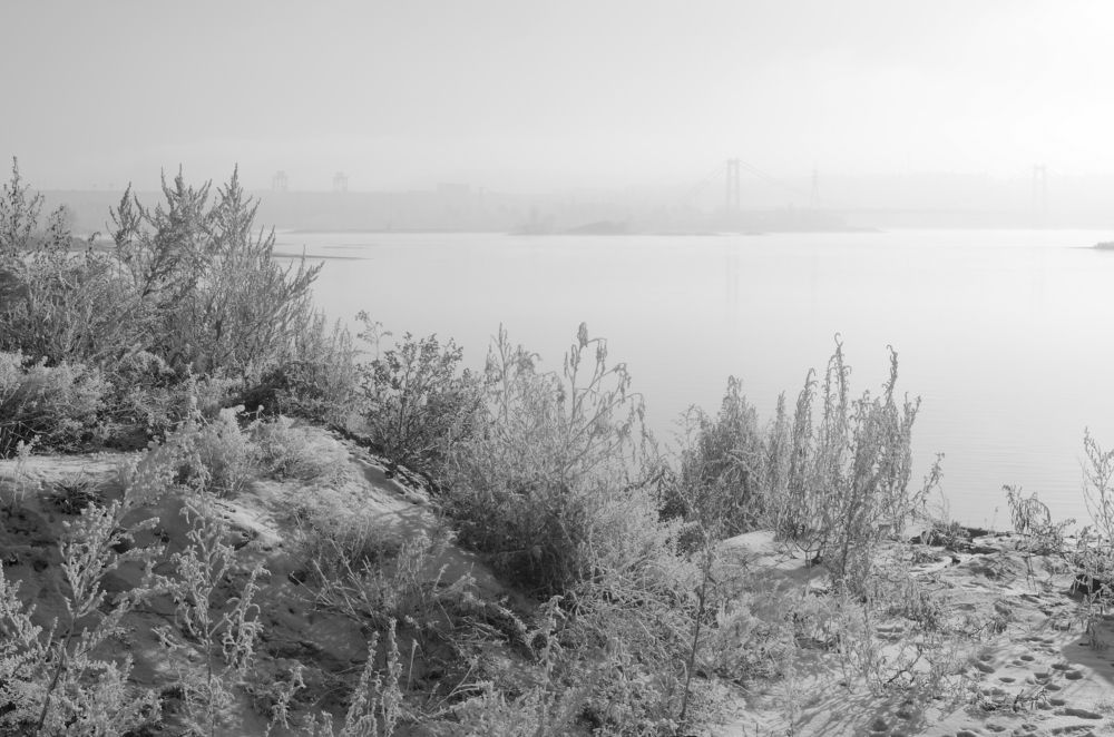 Photograph by Татьяна Герасимцева