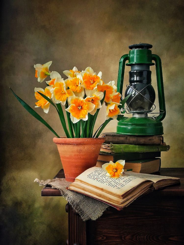 Photograph by Александра