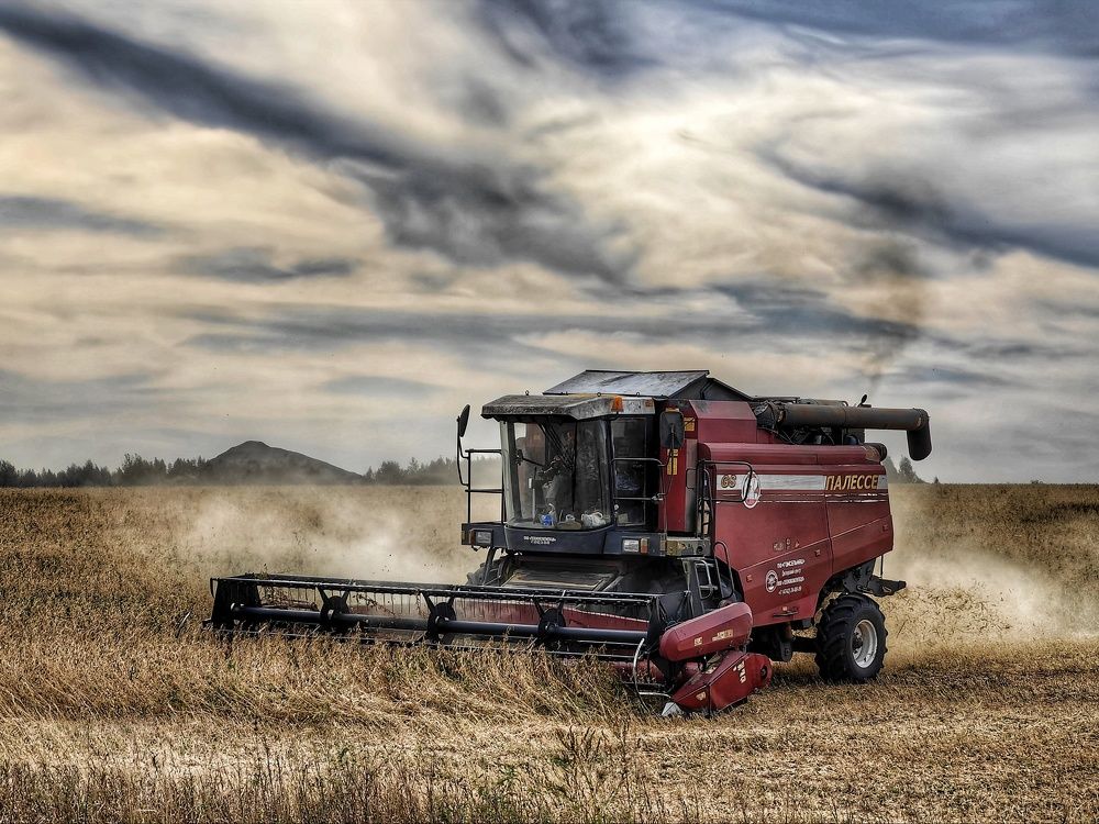 Photograph by Роман