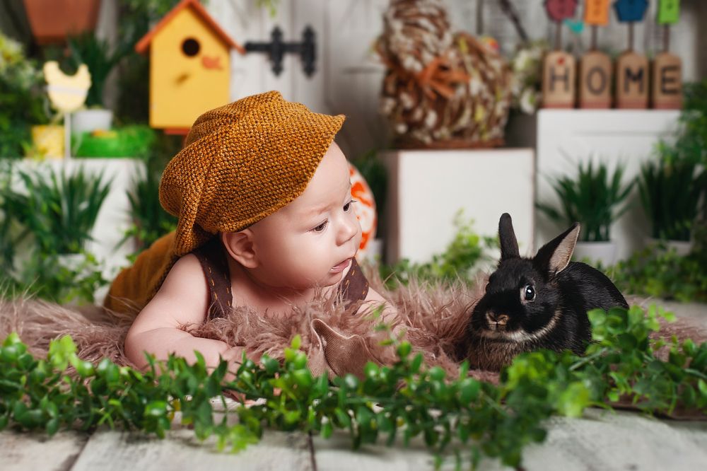 Фотография автора Ману Фалько