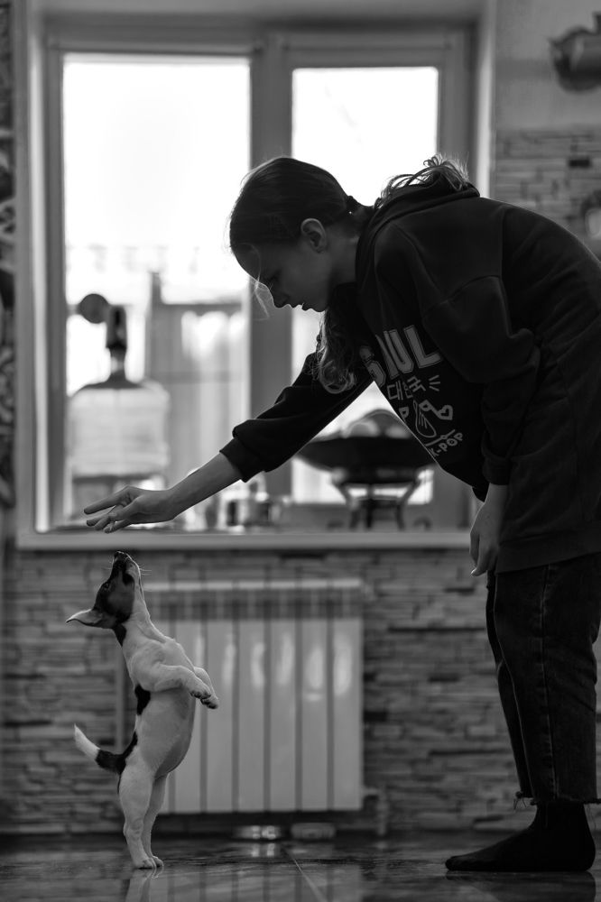 Photograph by Виктория Беник