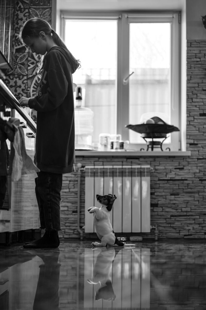 Photograph by Виктория Беник