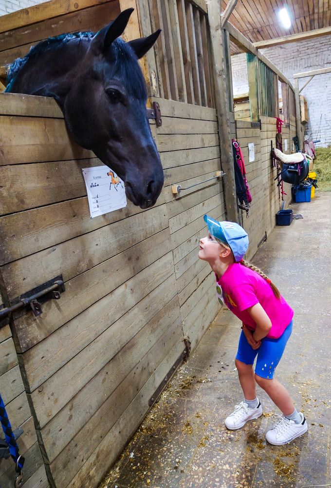 Фотография автора Elena Ku