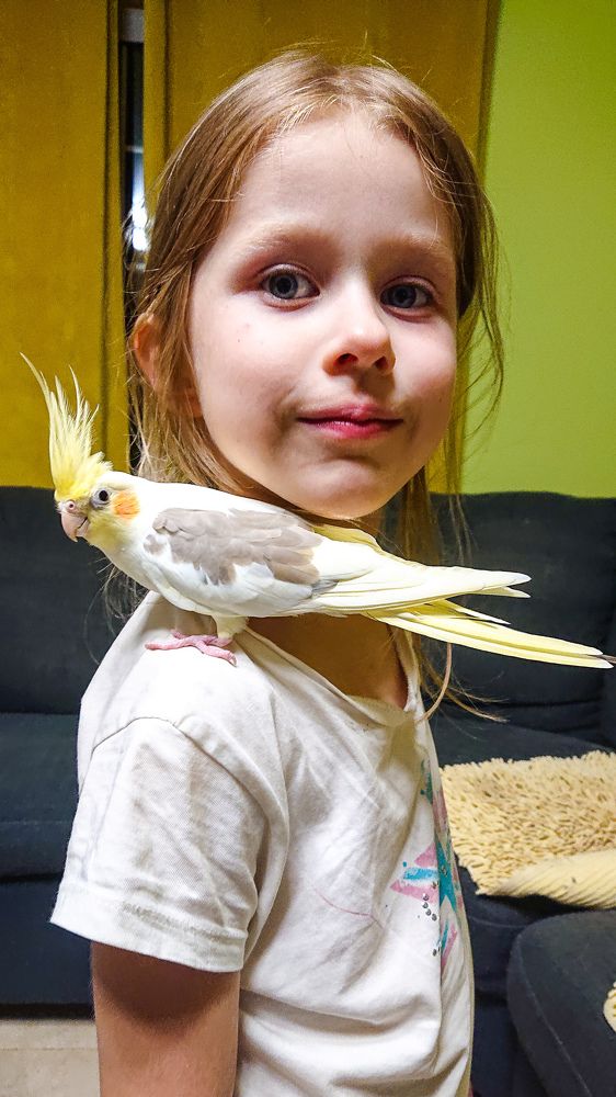 Фотография автора Elena Ku