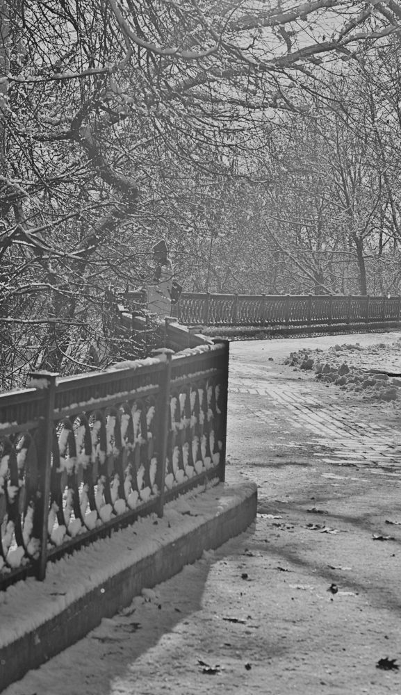 Photograph by Дмитрий Жуков