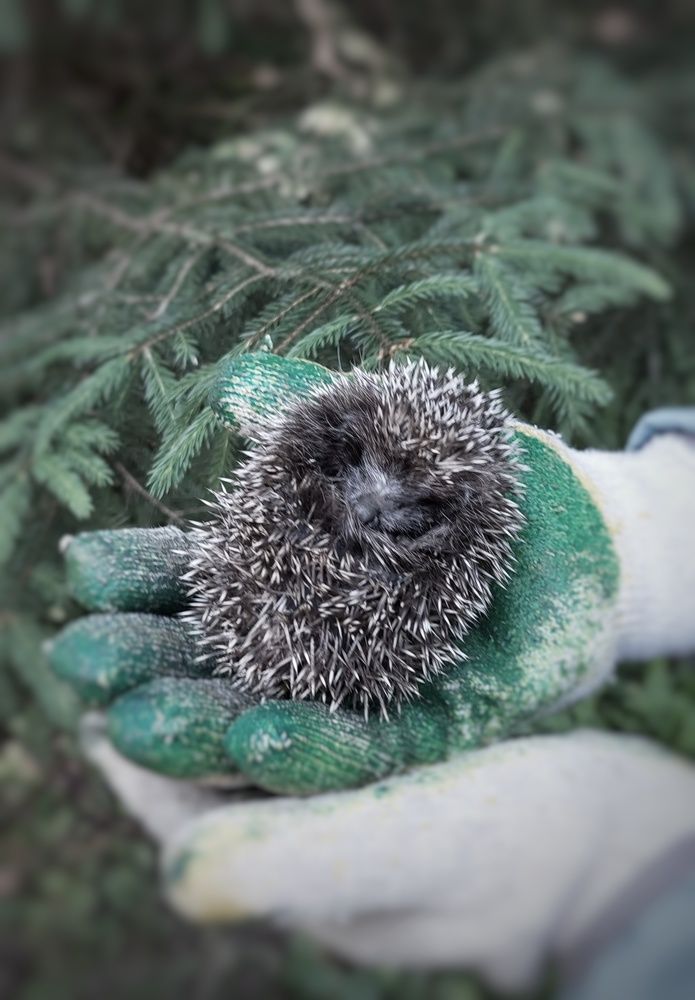 Photograph by Елена Тимченко