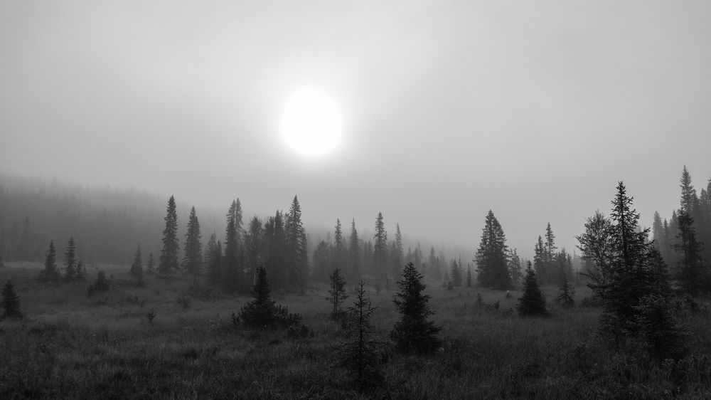 Фотография автора Ruslan Badykov