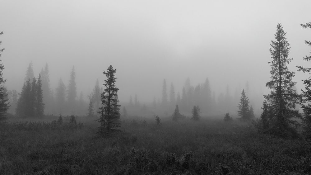 Фотография автора Ruslan Badykov