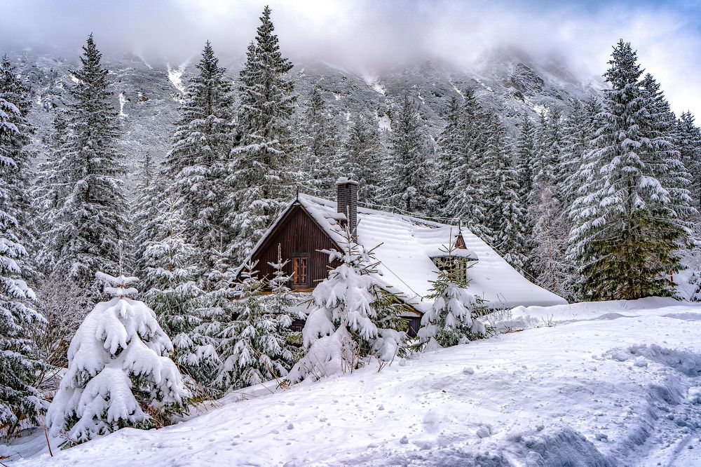 Photograph by Алексей Цецохо