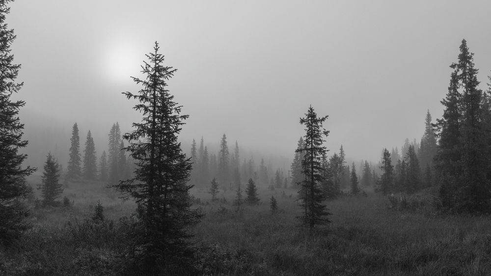 Фотография автора Ruslan Badykov