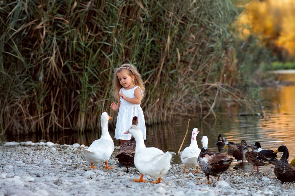 Photograph by Юлия Немченко