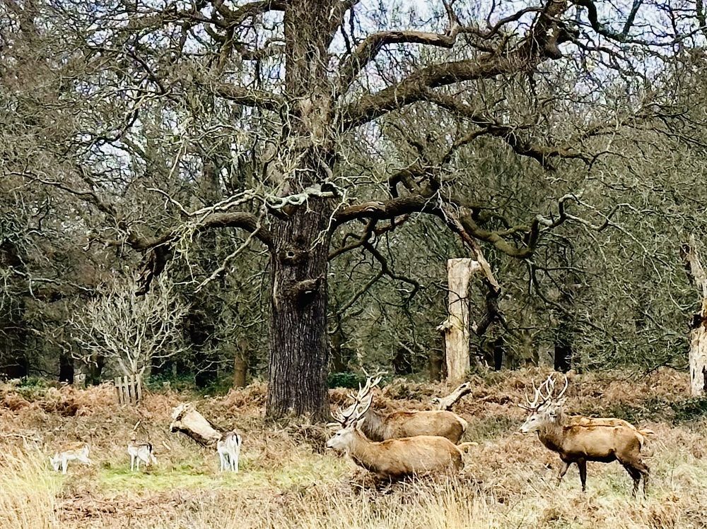 Photograph by Светлана Ионова